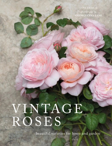 VINTAGE ROSES COFFEE TABLE BOOK