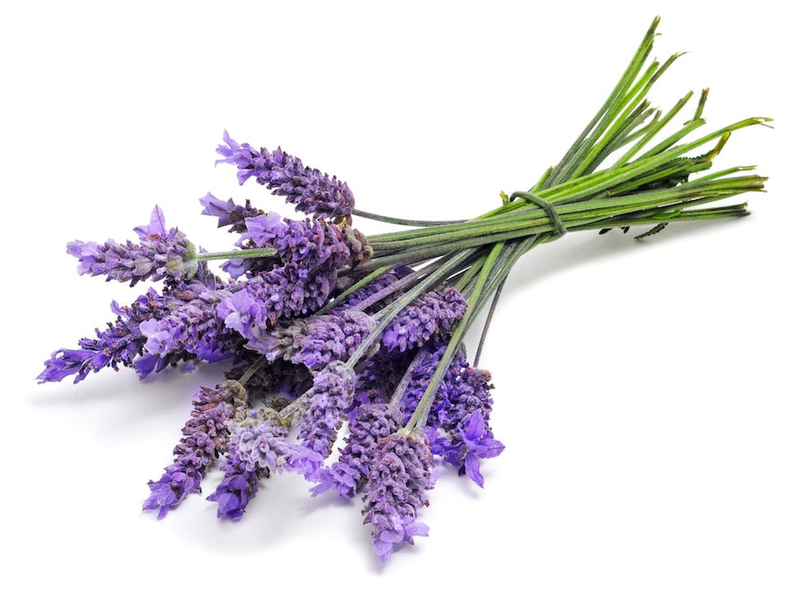 LAVENDER