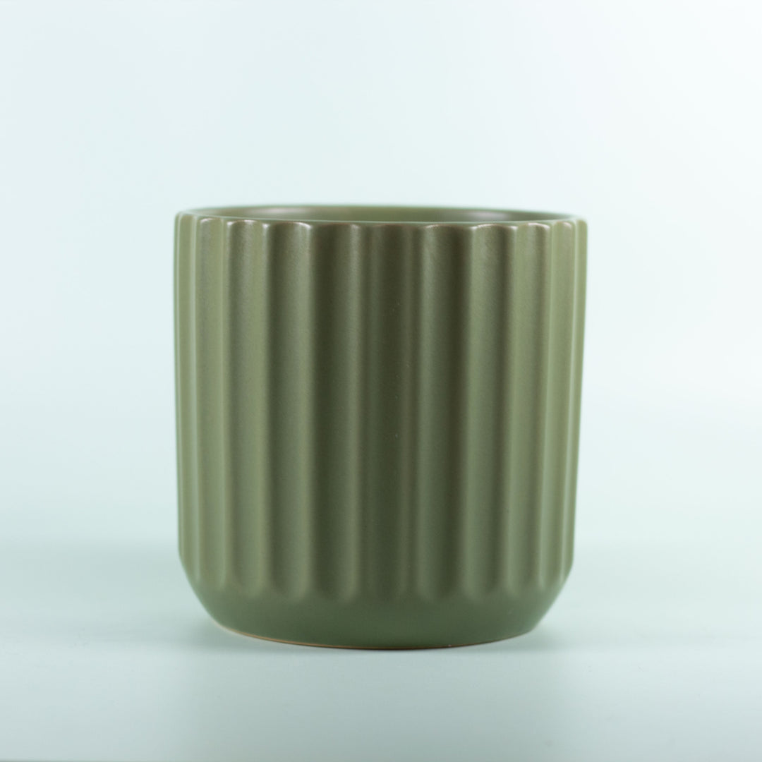 CLOVER POT