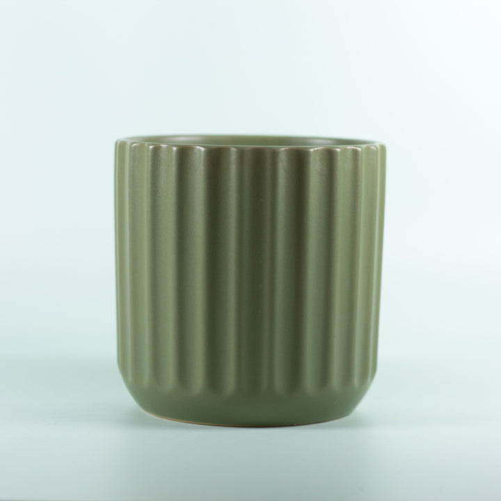 CLOVER POT