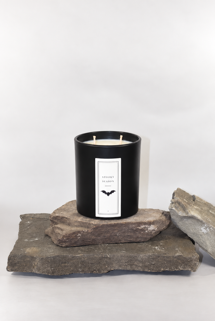 3 FOR $75 SPOOKY SEASON 14OZ CANDLE
