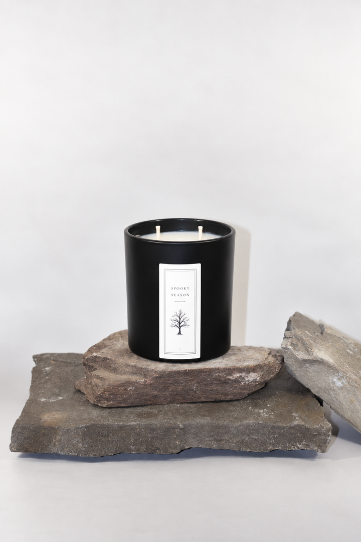 3 FOR $75 SPOOKY SEASON 14OZ CANDLE