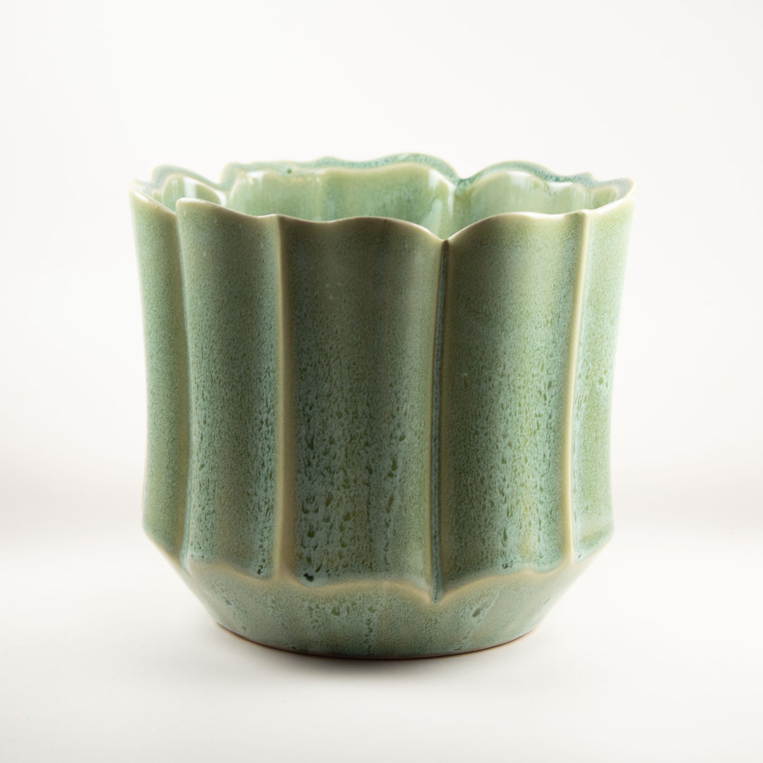 EVERLEAF POT