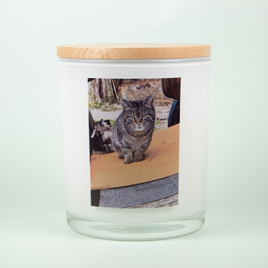COMMUNITY CATS OF HAMILTON CO. PRINTED CANDLE 1