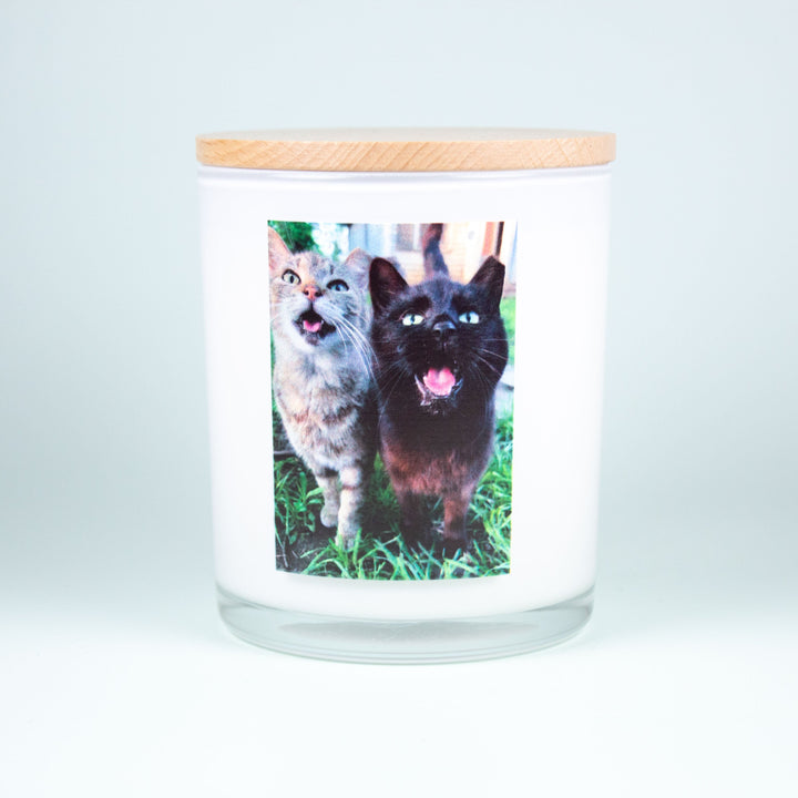 COMMUNITY CATS OF HAMILTON CO. PRINTED CANDLE 2