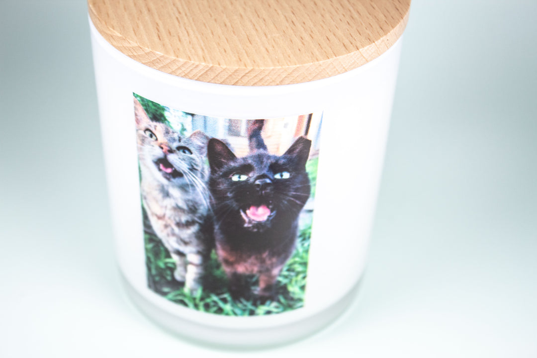 COMMUNITY CATS OF HAMILTON CO. PRINTED CANDLE 2