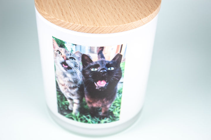 COMMUNITY CATS OF HAMILTON CO. PRINTED CANDLE 2