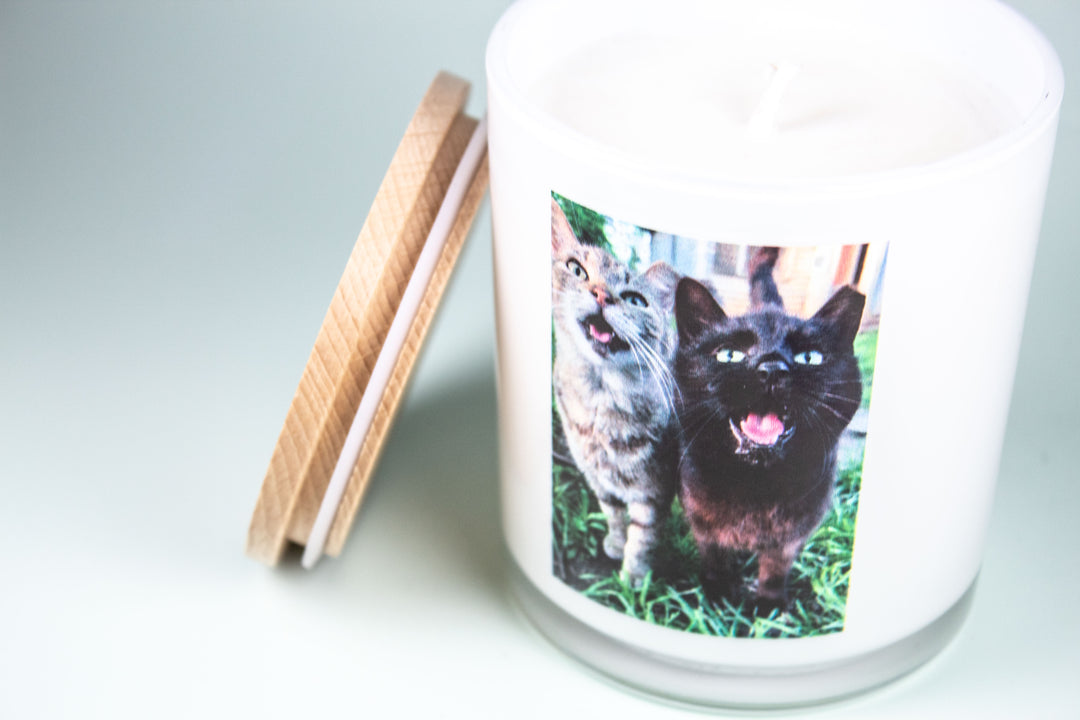 COMMUNITY CATS OF HAMILTON CO. PRINTED CANDLE 2