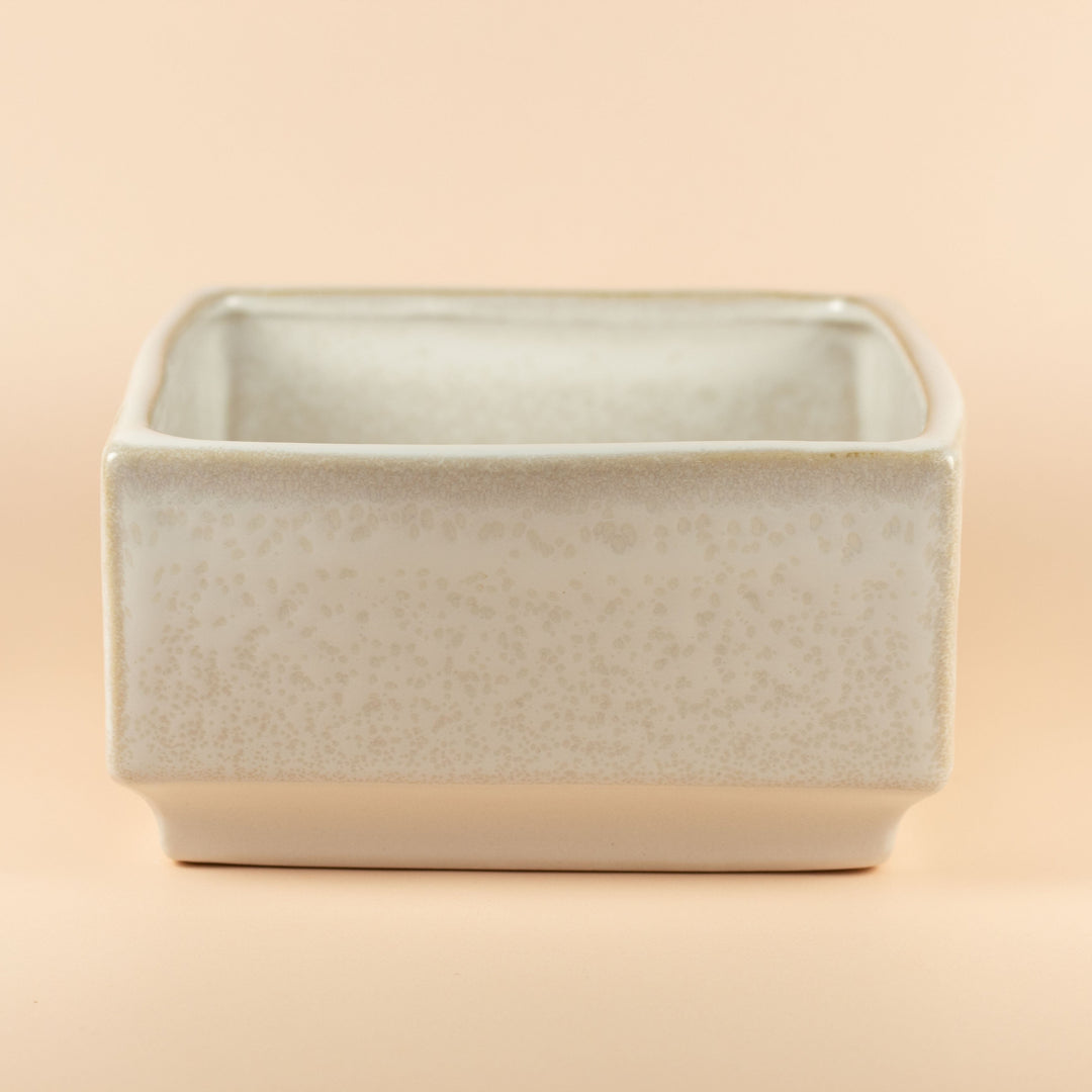 JUMBO MALLOW POT
