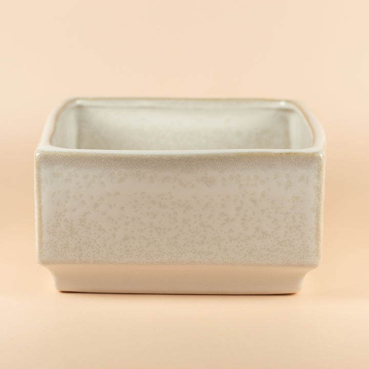 JUMBO MALLOW POT