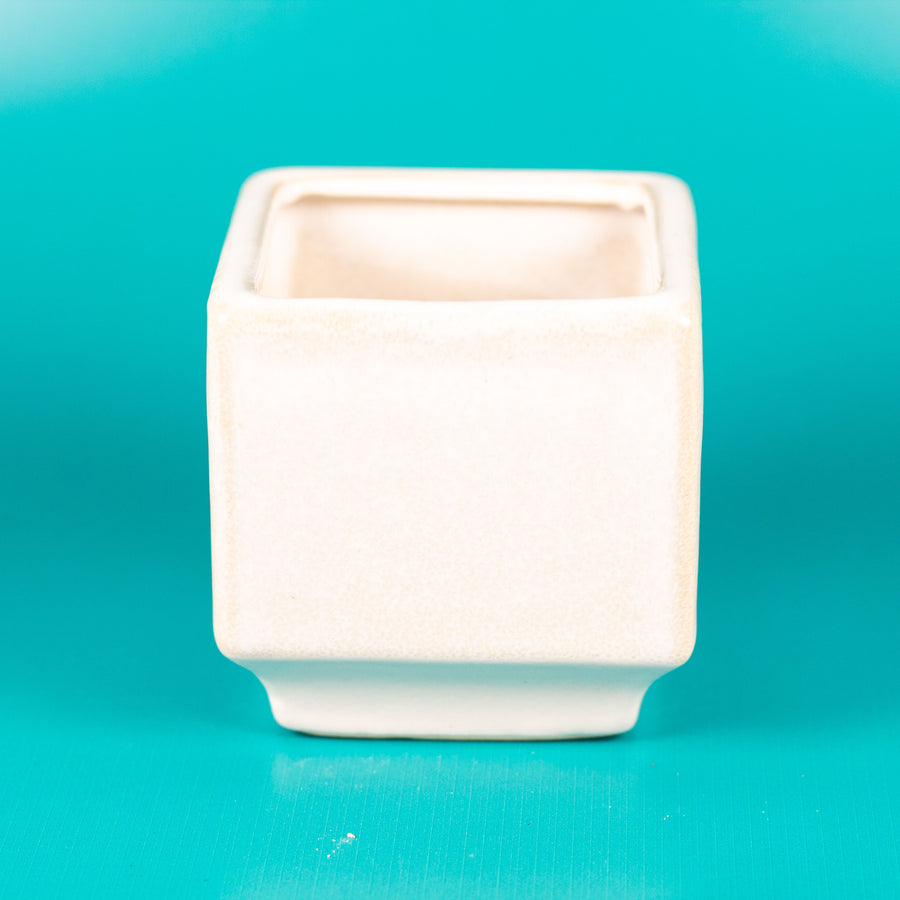 MINI MALLOW POT