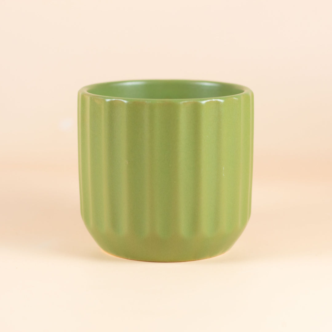 MINI CLOVER POT