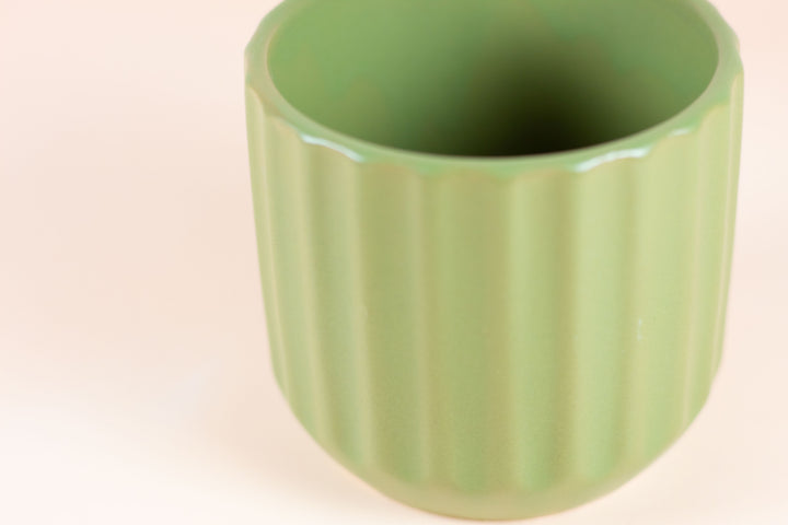 MINI CLOVER POT
