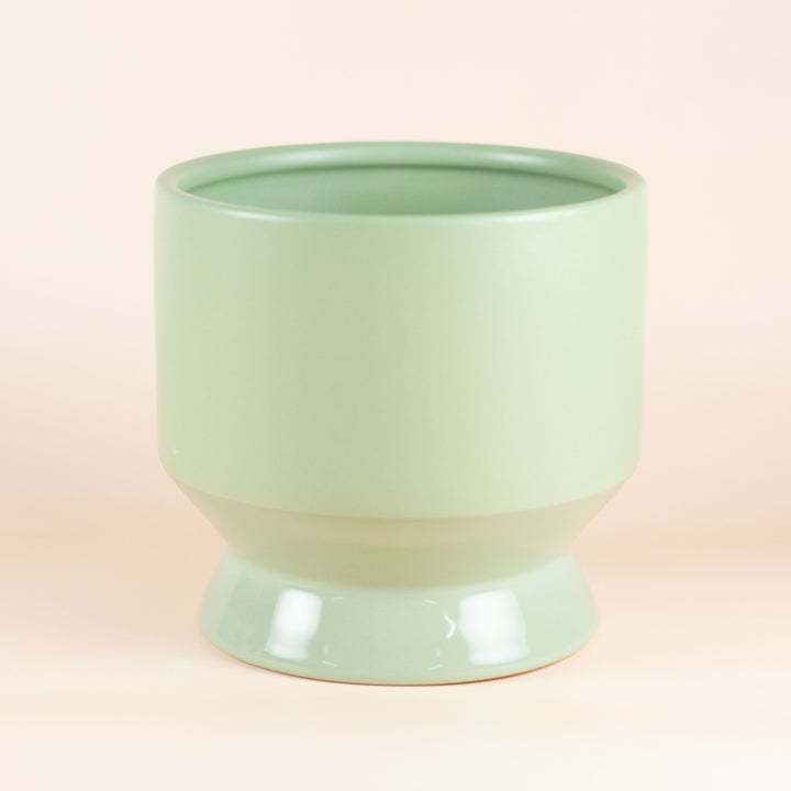 PETITE AGAVE POT