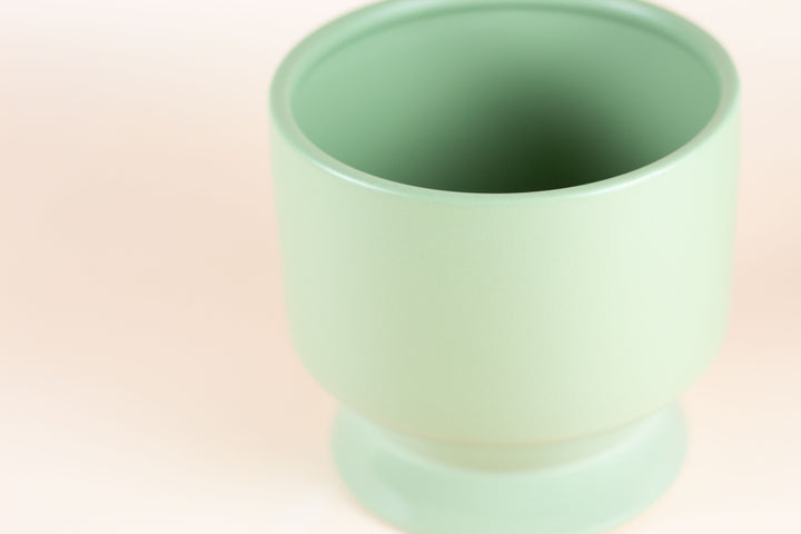 PETITE AGAVE POT