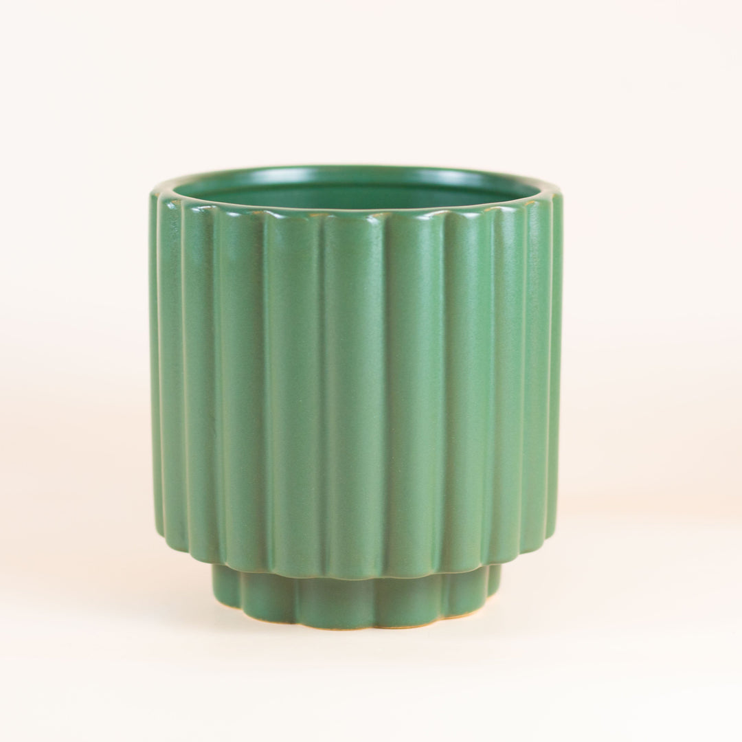 PETITE PINE POT