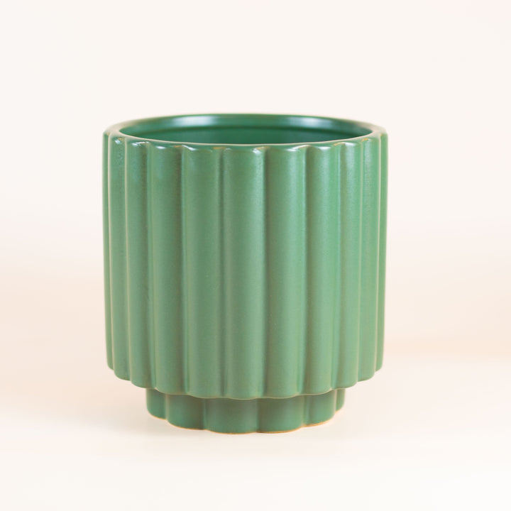PETITE PINE POT