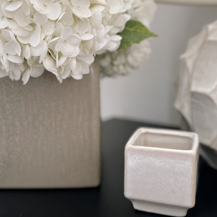 MINI MALLOW POT