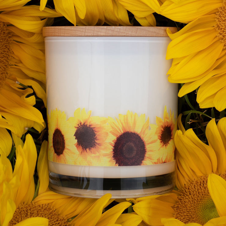 sunflower candle